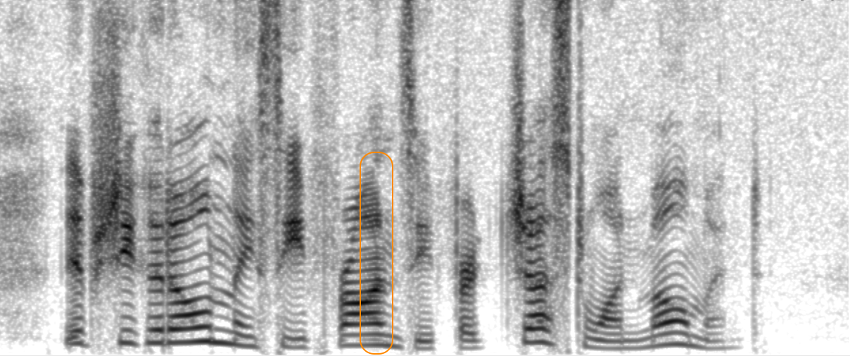 Spectrogram of GT