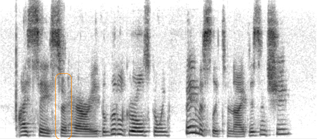 Spectrogram of GT