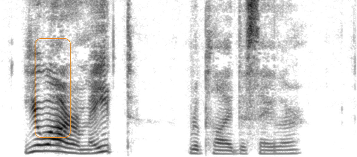 Spectrogram of GT