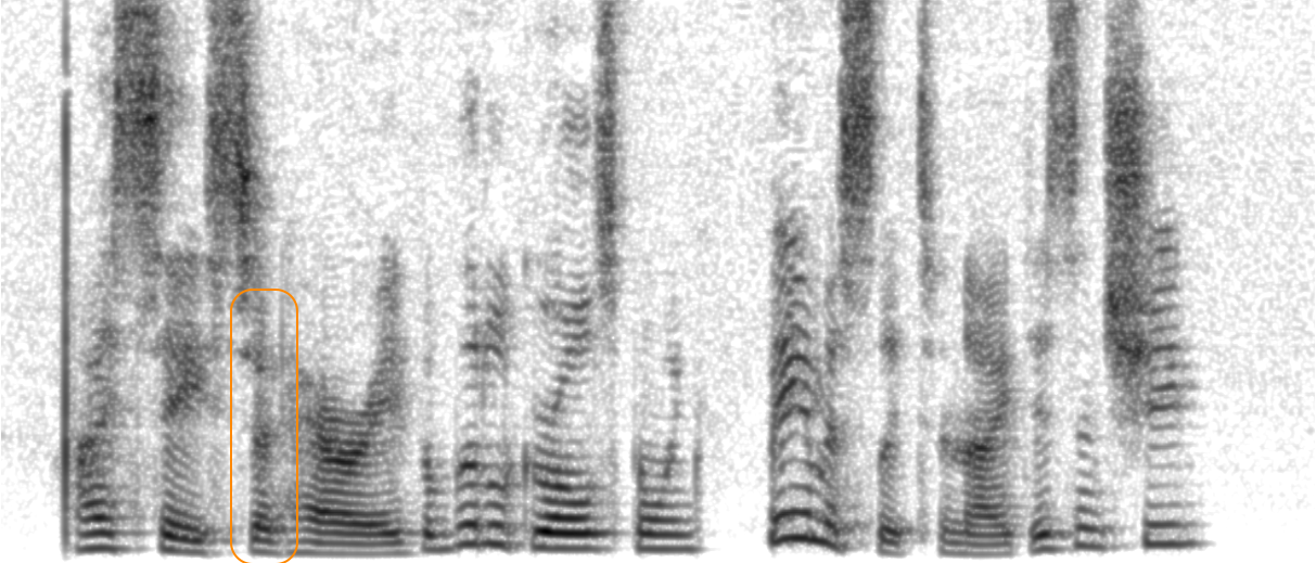 Spectrogram of XCodec2+SG