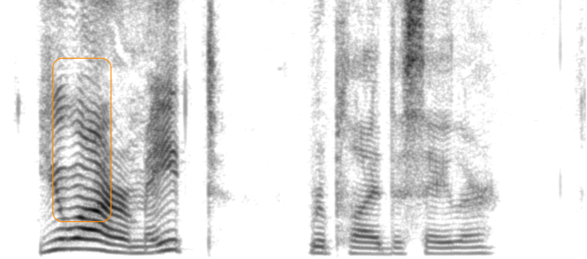Spectrogram of XCodec2+SG