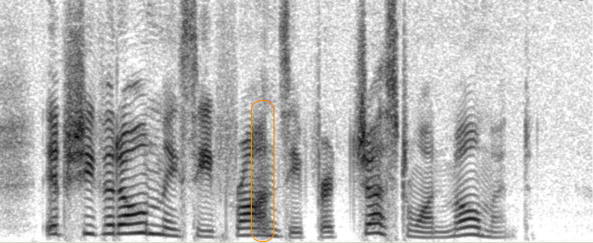 Spectrogram of XCodec2