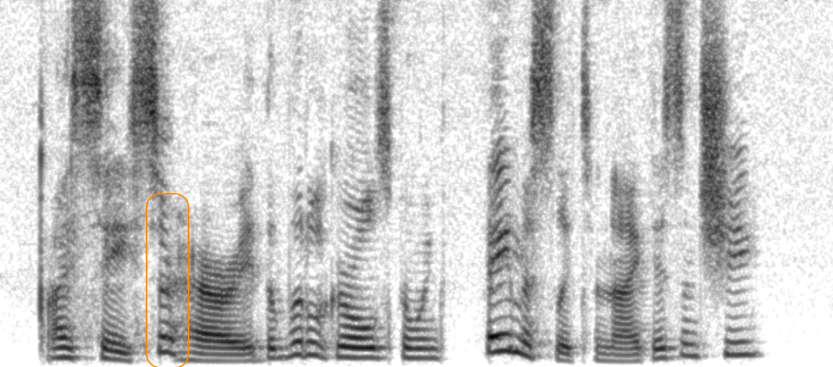 Spectrogram of XCodec2