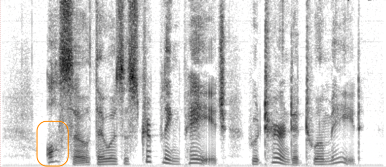 Spectrogram of XCodec2