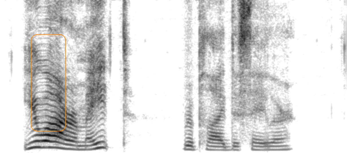 Spectrogram of XCodec2